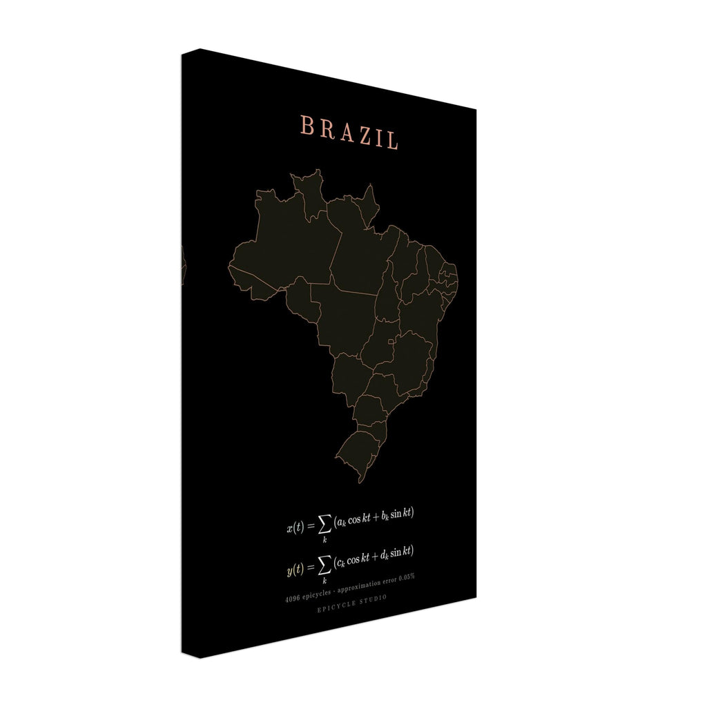 Brazil map drawn by 4096 rotating circles, salmon line art on a canvas print (3)