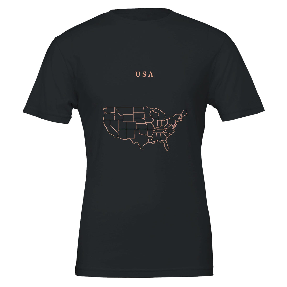 USA map drawn by 4096 rotating circles, salmon line art on a black t-shirt