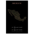 Mexico map drawn by 4096 rotating circles, salmon line art on a matte poster (3)