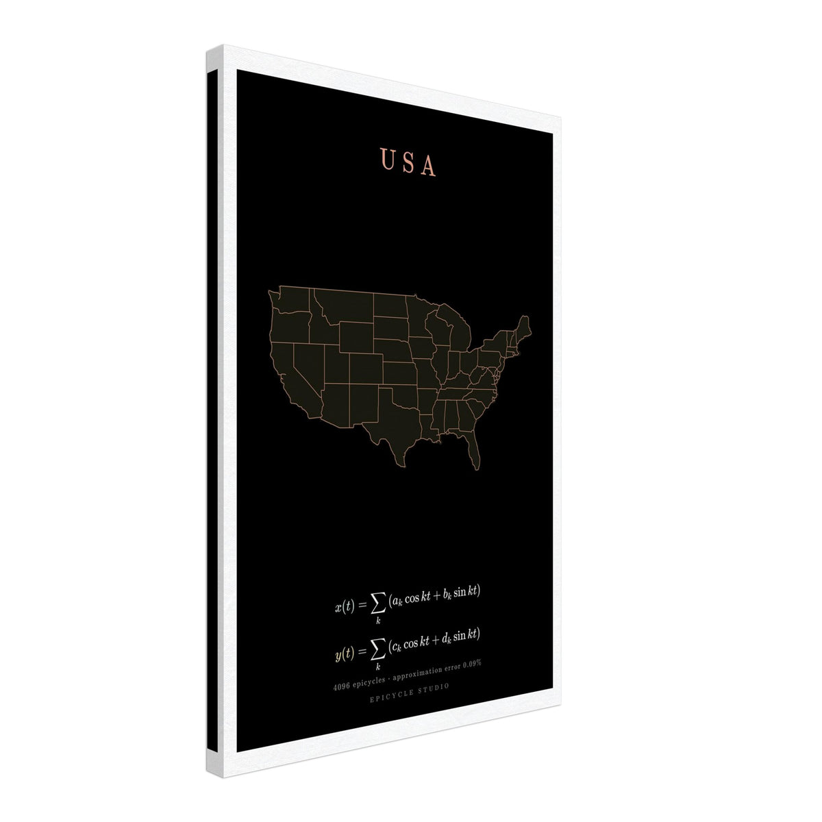 USA map drawn by 4096 rotating circles, salmon line art on a canvas print (2)