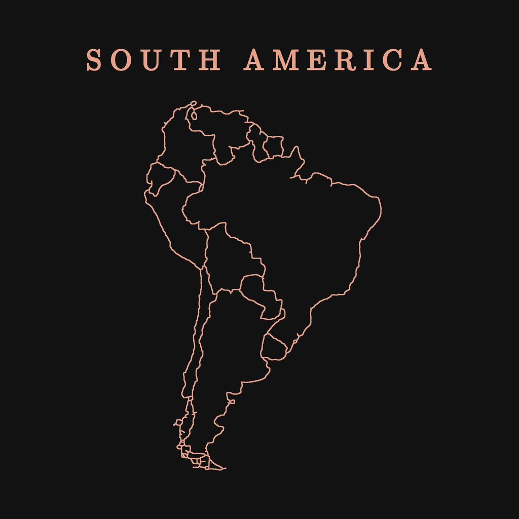 extra: South America print detail, salmon line art