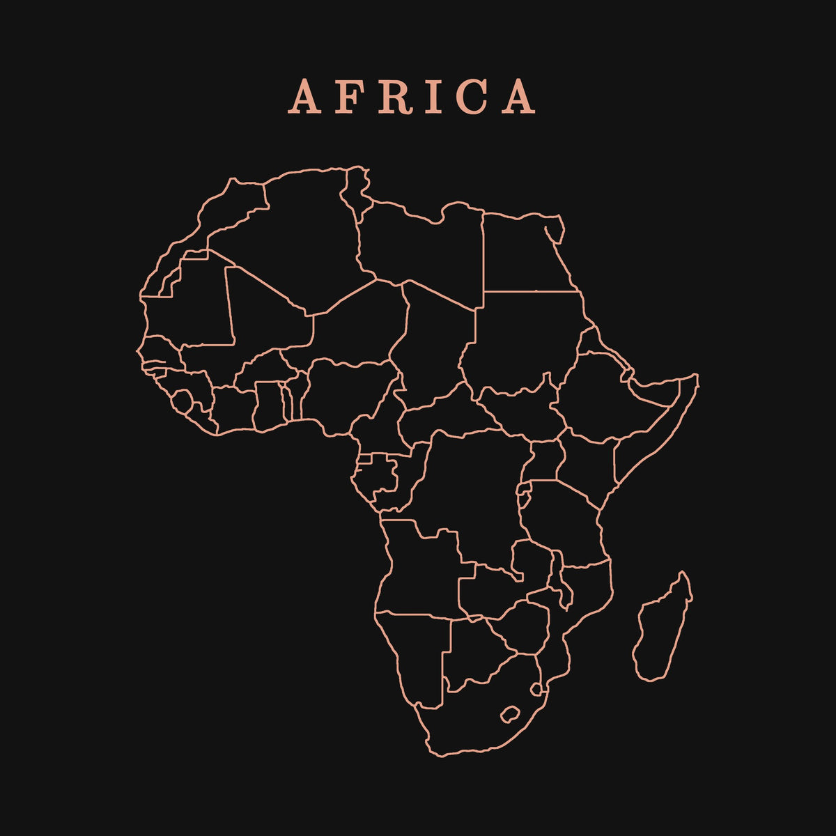 extra: Africa print detail, salmon line art