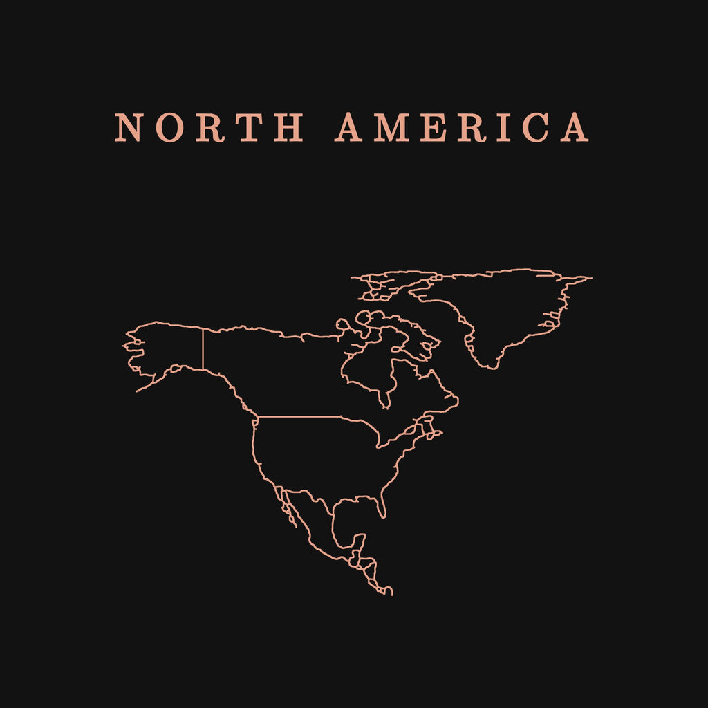 extra: North America print detail, salmon line art