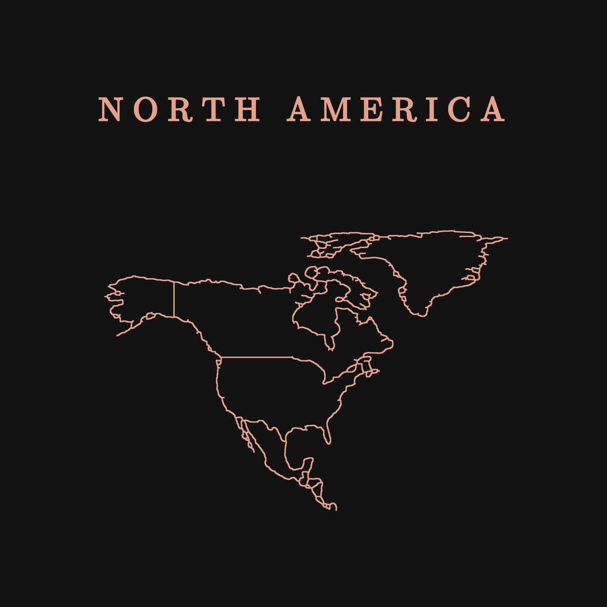 extra: North America print detail, salmon line art
