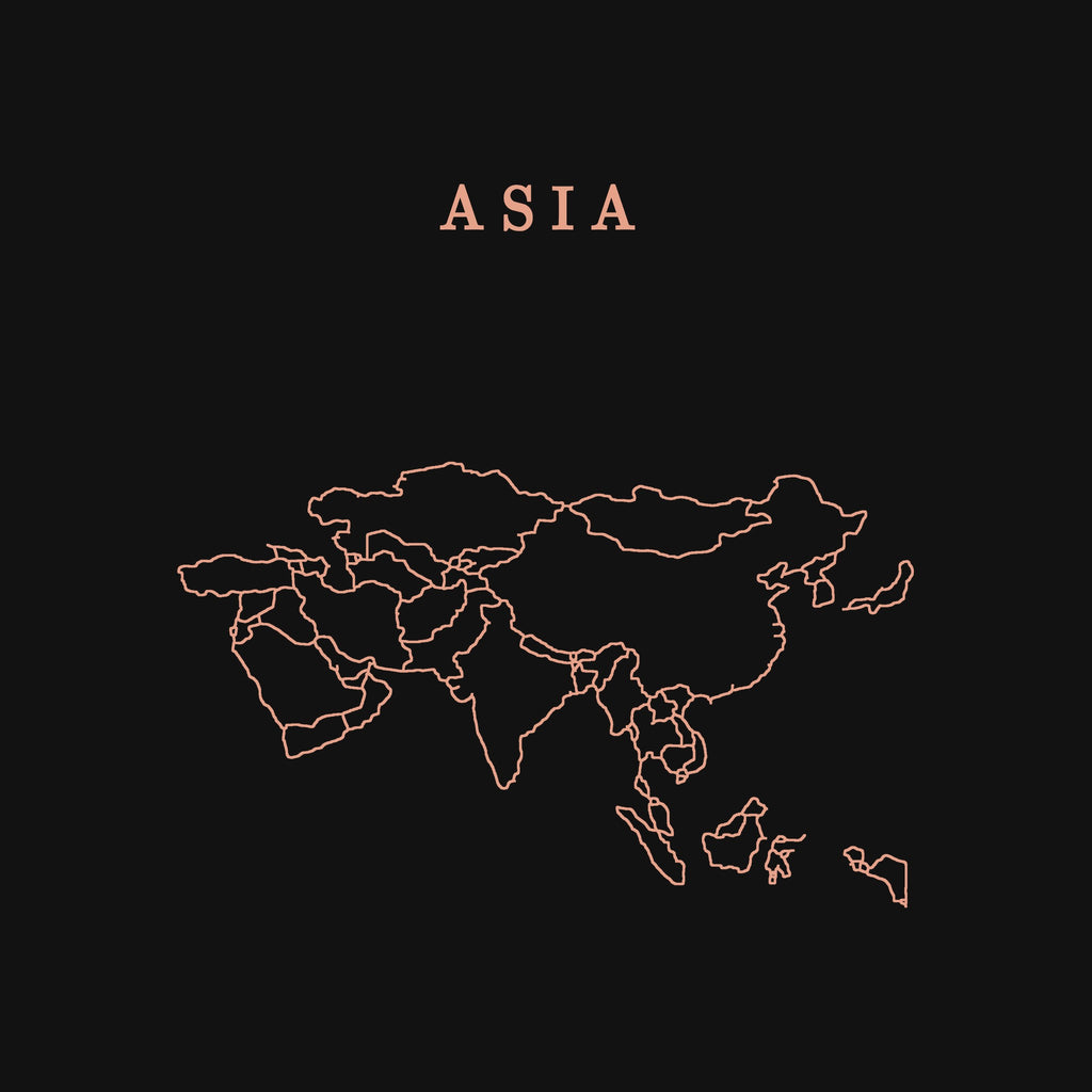 extra: Asia print detail, salmon line art