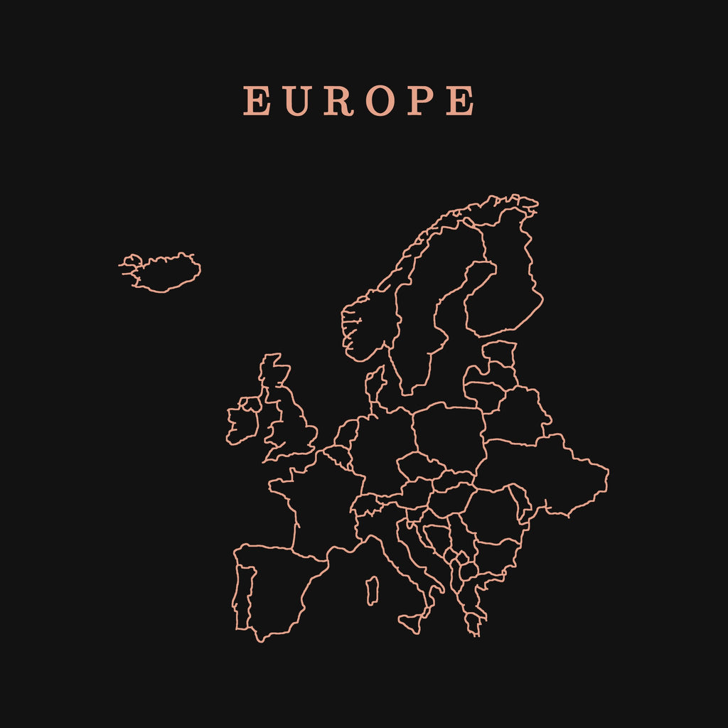 extra: Europe print detail, salmon line art