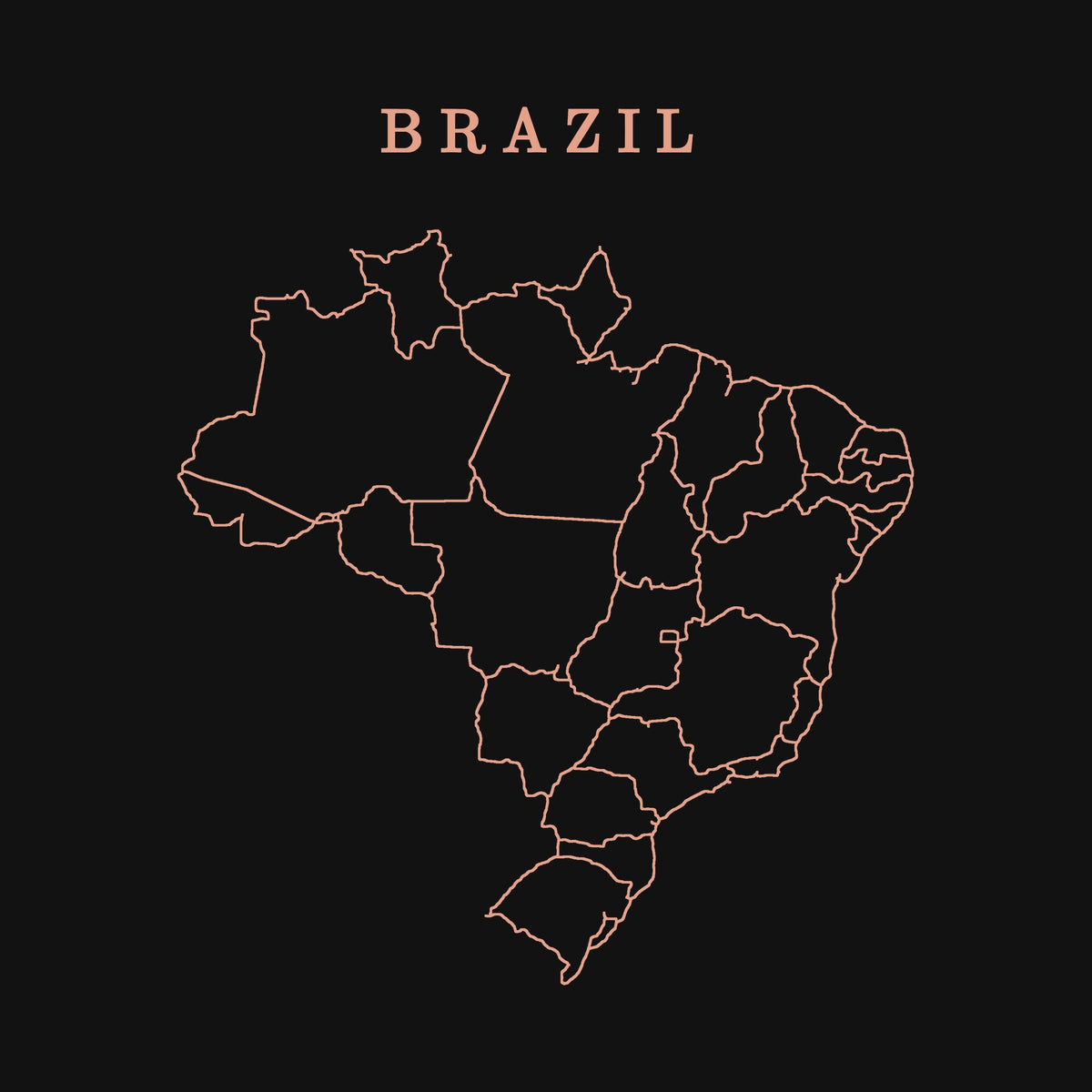 extra: Brazil print detail, salmon line art