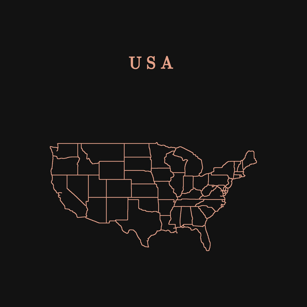 extra: USA print detail, salmon line art