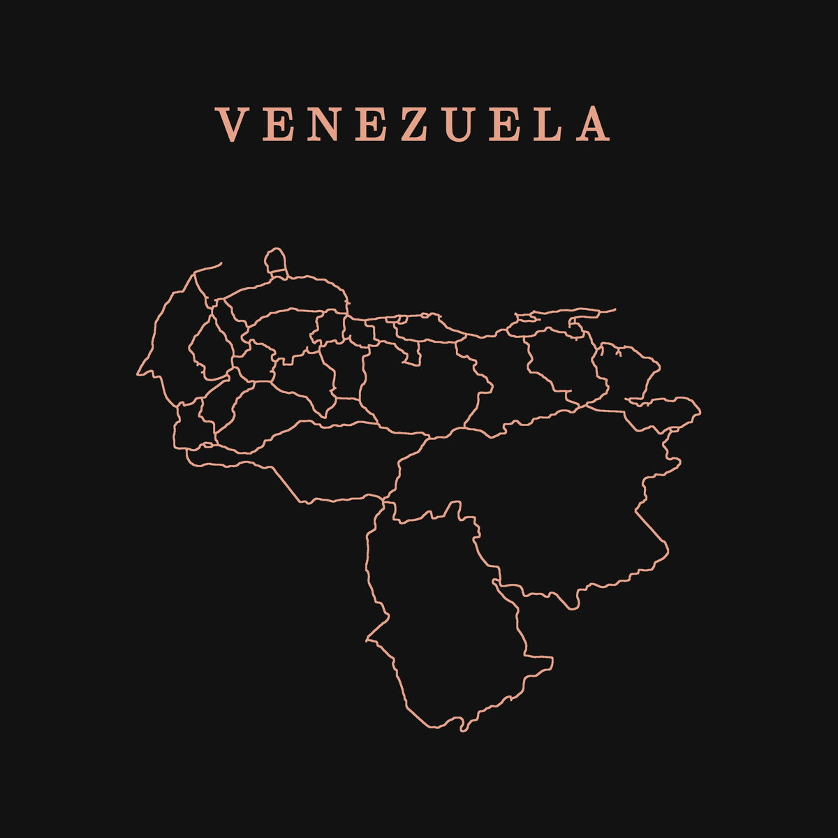 extra: Venezuela print detail, salmon line art